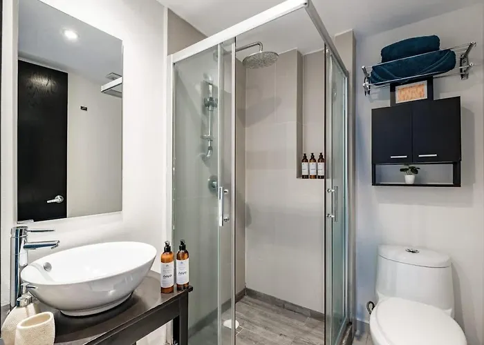 Polanco 2br Skyline Balcony Gym & Sauna *