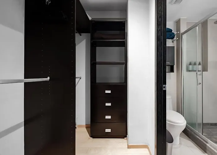 Polanco 2br Skyline Balcony Gym & Sauna Apartment